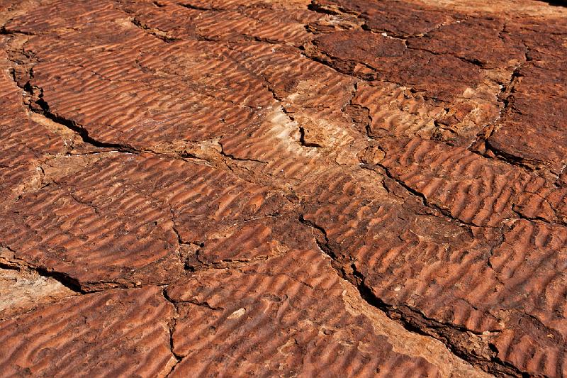 2007 05 10 Red Centre 028_DXO.jpg